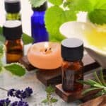 12 Plantas Naturales Eficaces contra Los Mosquitos: Método Natural y No Tóxico