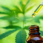 Fumar CBD: ¿Coloca o no? Opiniones, beneficios y riesgos