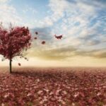3 perspectivas sobre el amor: el arte, la espiritualidad y la dinámica del amor