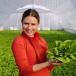 Alternativas culinarias para consumir lechuga fuera de las recetas saladas tradicionales