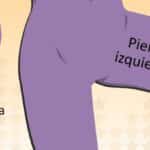 Depilación íntima femenina: 10 consejos para una rutina segura