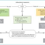Ejercicio terapéutico específicos recomendados durante la menopausa para prevenir fracturas y problemas óseos