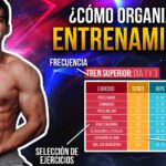 Fitness y culturismo: combinación perfecta para tu entrenamiento