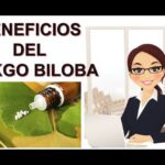 Ginkgo biloba: usos y consejos