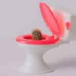 Hemorroides y calor: consejos para aliviar los síntomas en verano