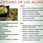 Impacto de las algas Klamath en la tiroides