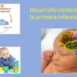 La guía del cerebro humano: aprendiendo y desarrollando habilidades mentales desde el nacimiento hasta los 12 años