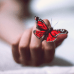 14 Libros para Superar la Depresión