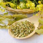 Plantas medicinales que ayudan a combatir la astenia primaveral: 8 remedios caseros de hierbas recomendados