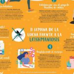 Prevención de la leishmaniosis: consejos para proteger a tu mascota