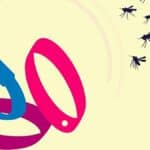 Pulseras de citronela: ¿Se pueden mojar? Consejos y precauciones