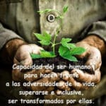 Reglas sintoistas y shintoistas para encontrar propósito, satisfacción y plenitud en la vida