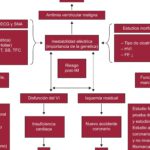 ST2: El revolucionario marcador de riesgo de muerte que debes conocer