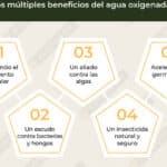 Usos efectivos del agua oxigenada y su correcta concentración