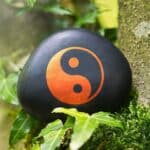 Manteniendo la armonía en la dualidad del Yin-Yang